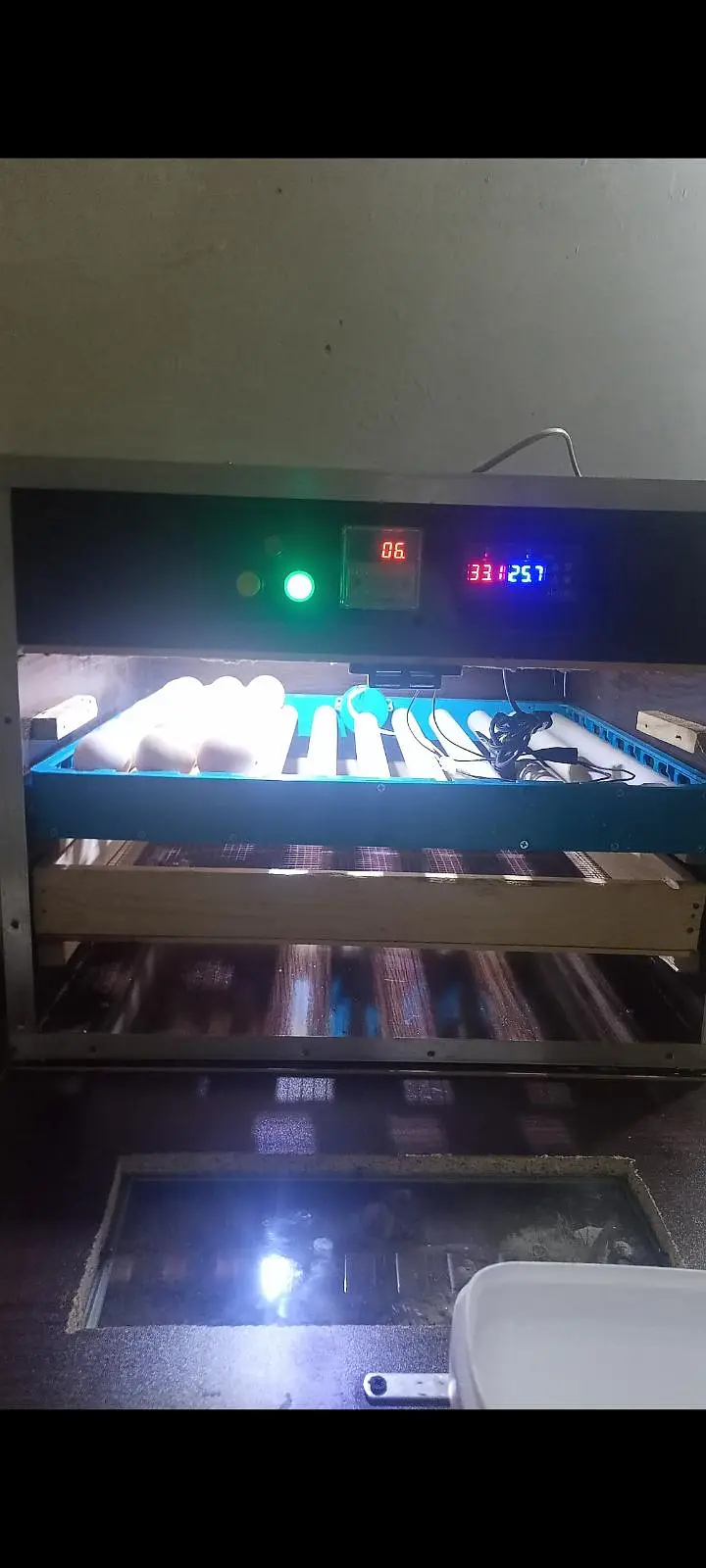 Fully Automatic Low Power 90 Eggs Incubator