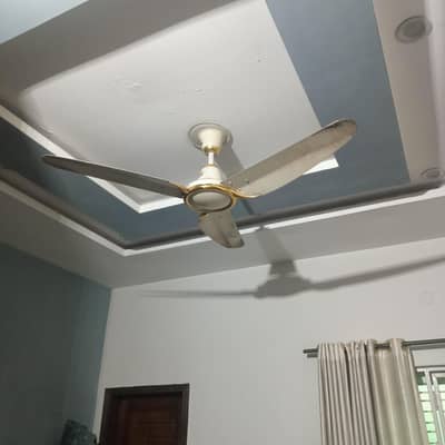 GFC ceiling Fan