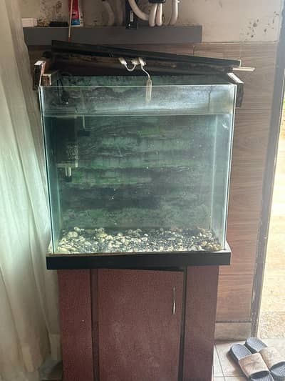 Different sized aquariums for sale.