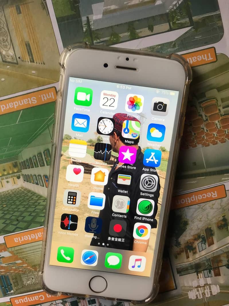 Apple iPhone 6 5