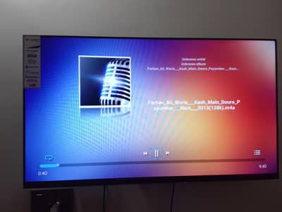 Vizio