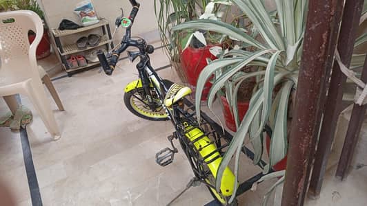 vip cycle