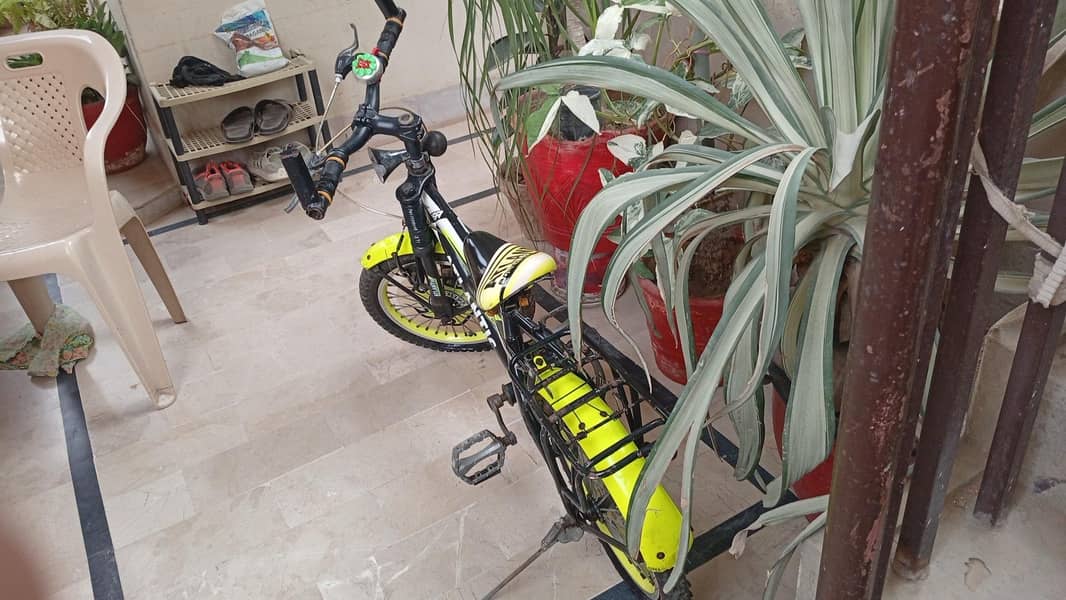 vip cycle 0