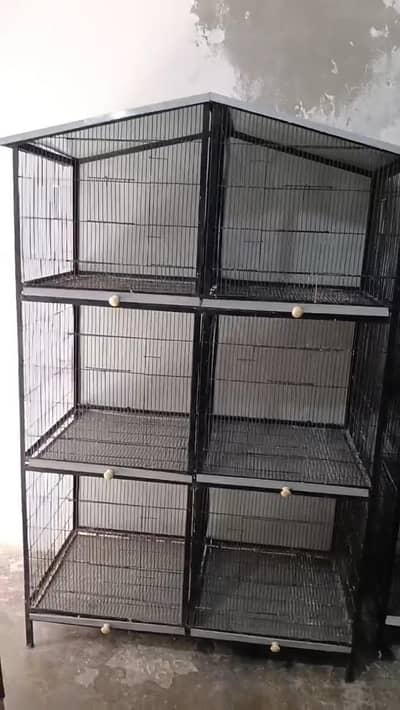 Birds cage