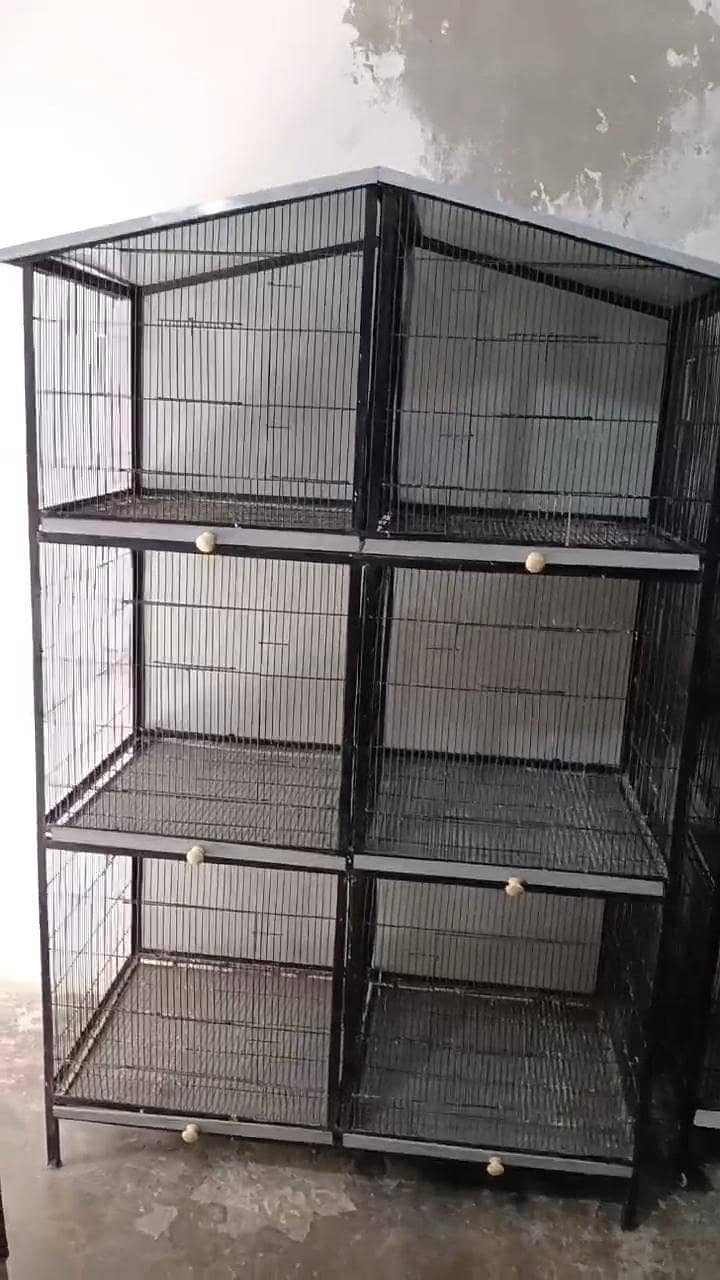 Cage Full Angle 1
