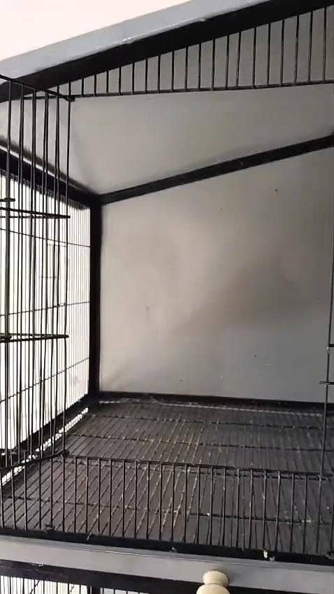 Cage Full Angle 3