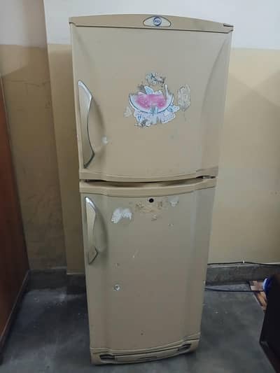 Pel fridge for sale