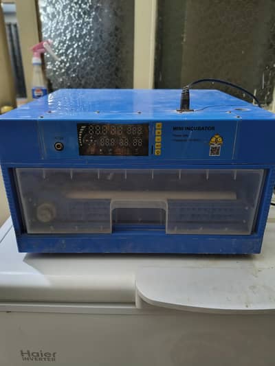 incubator full automatic