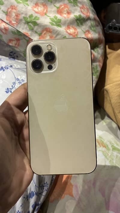 iPhone 12 Pro Max