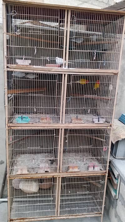 8 portion cage, 1.5*1.5