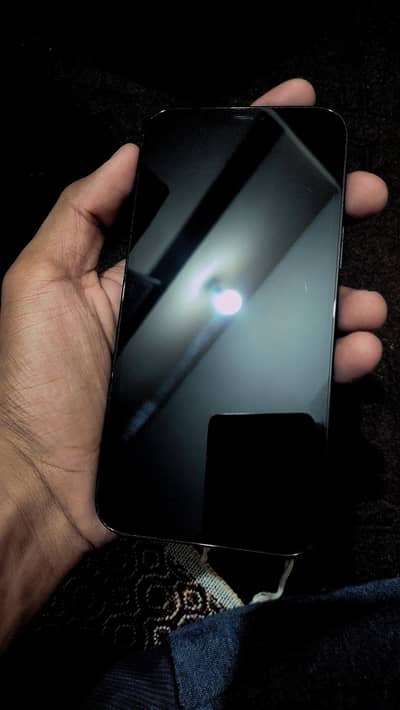 Iphone 12 Pro Max