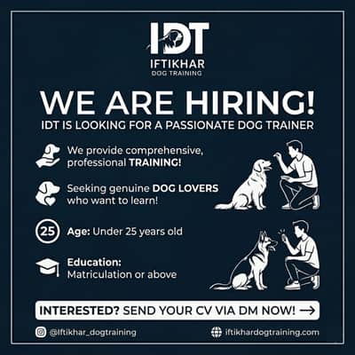 Need dog handler