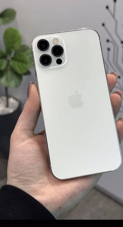 Apple iPhone 12 Pro pta approved
