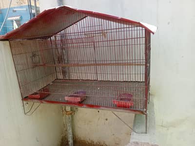 birds cage