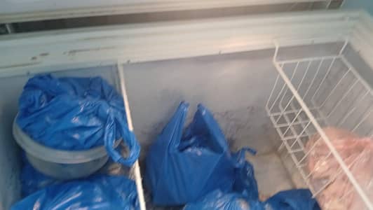 freezer single door