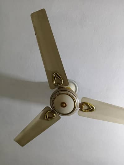 2 Royal fans for sale