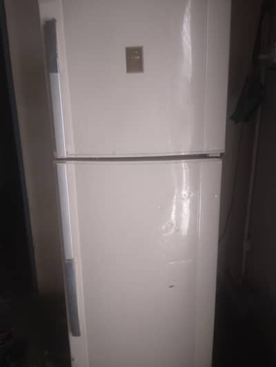 larg size urgent sale
