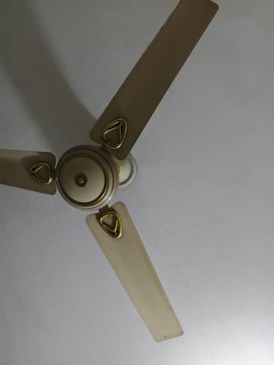 Royal brand Fan for sale
