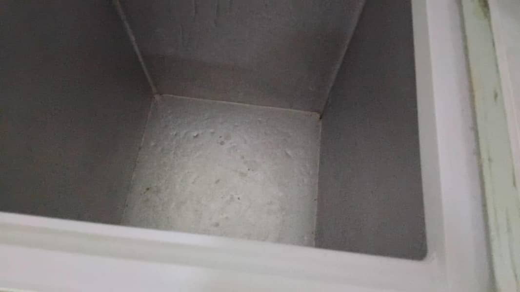 Freezer 3
