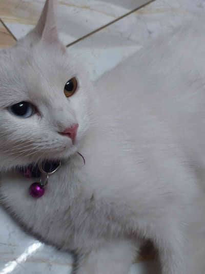 Maryam