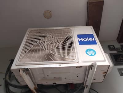 Haier 1. Tan