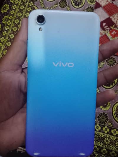vivo .