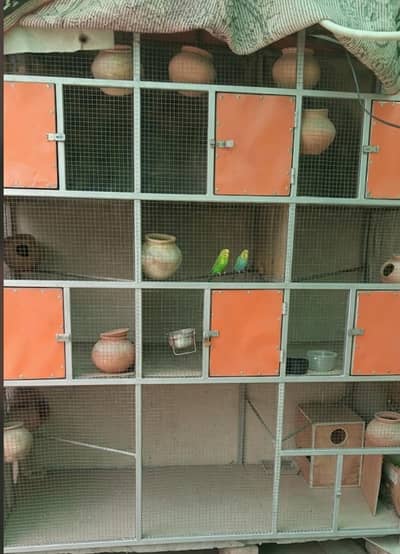 Strong and spacious birds cage - for sale