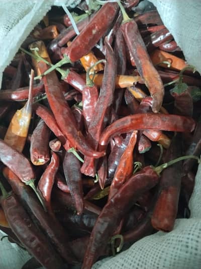 mirchi for sale 700 per kg