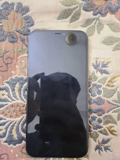 Iphone 12 Pro Max Pta Approved