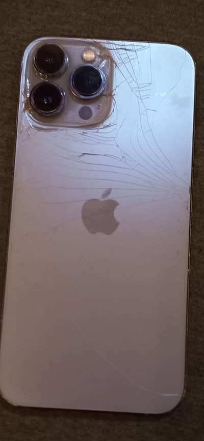 Apple iPhone 13 Pro Max