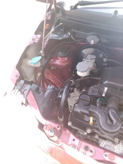 Suzuki Alto 2019