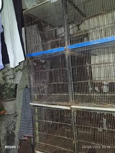 8 portion cage for sale