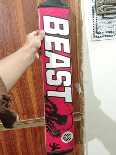 Beast Bat with Cover and warranty