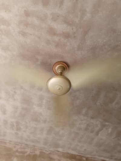 Pak Fan ceiling, for Sale only 3400