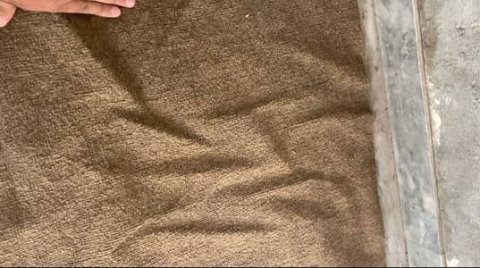 12x14 Ft Plain Brown Carpet | Clean Used Condition | Premium Quality