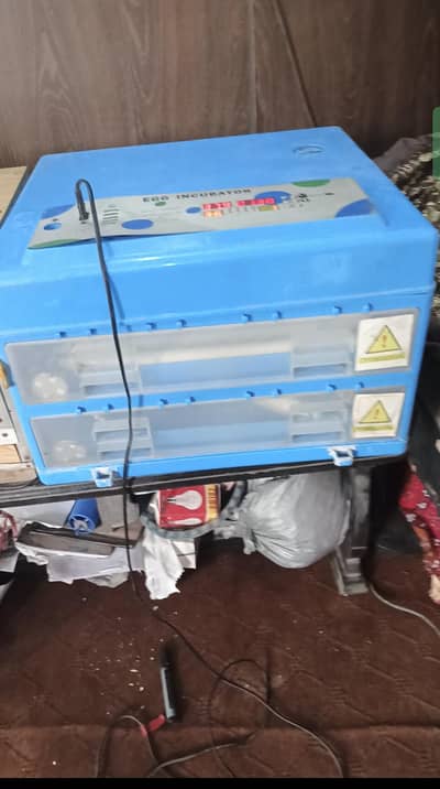 incubator machine chicks