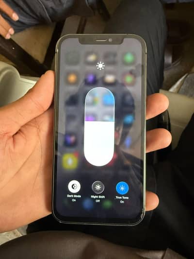 Apple iPhone 12 Pro
