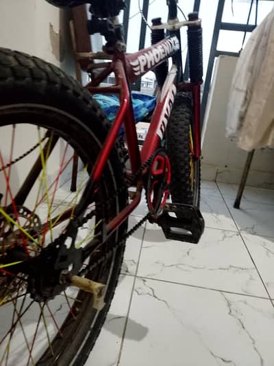​Phoenix Mountain Cycle (Fat Tyres) - Only 2 Months Used