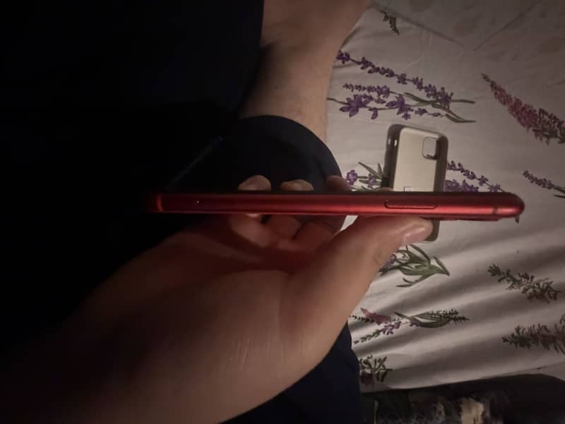 iPhone 11 2