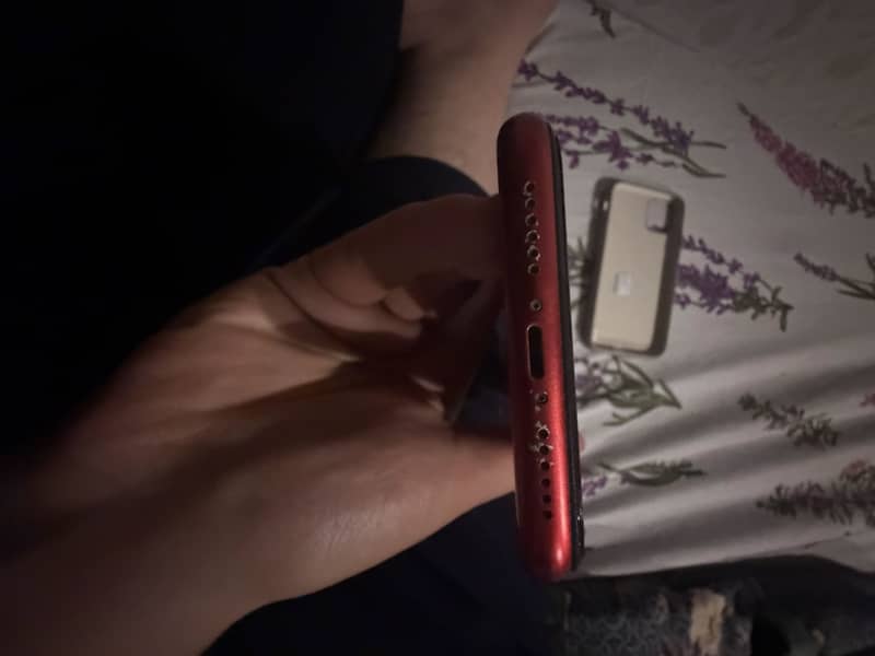 iPhone 11 3