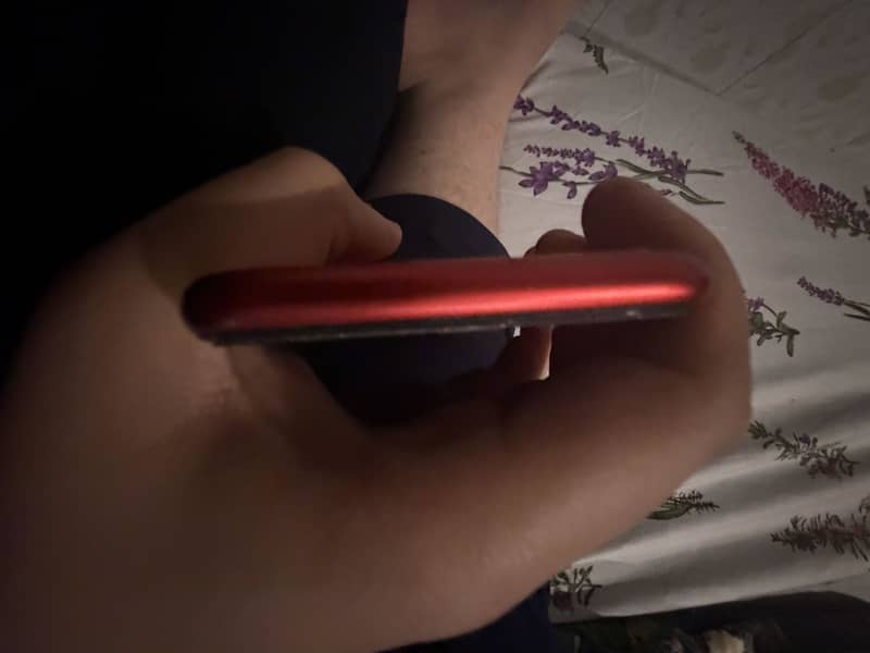 iPhone 11 5