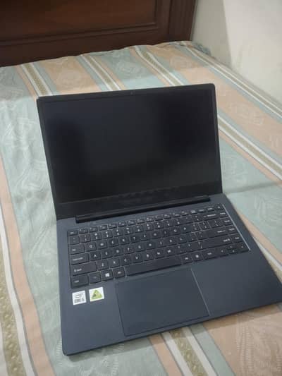Toshiba Dynabook Settalite Pro 10th gen Core i5 16/500 GB