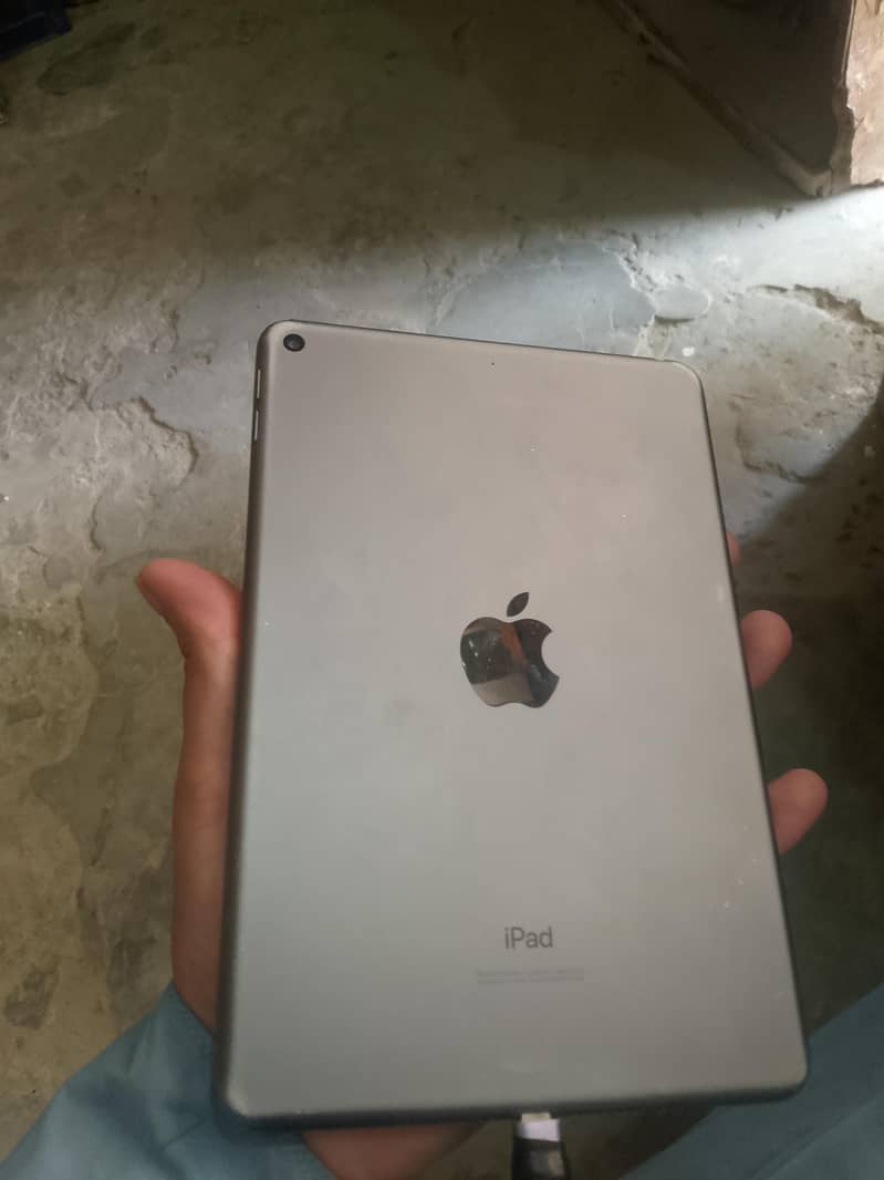 I pad mini 5 1
