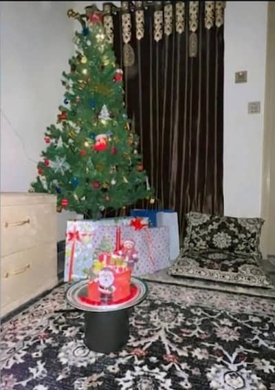 Christmas tree for sale