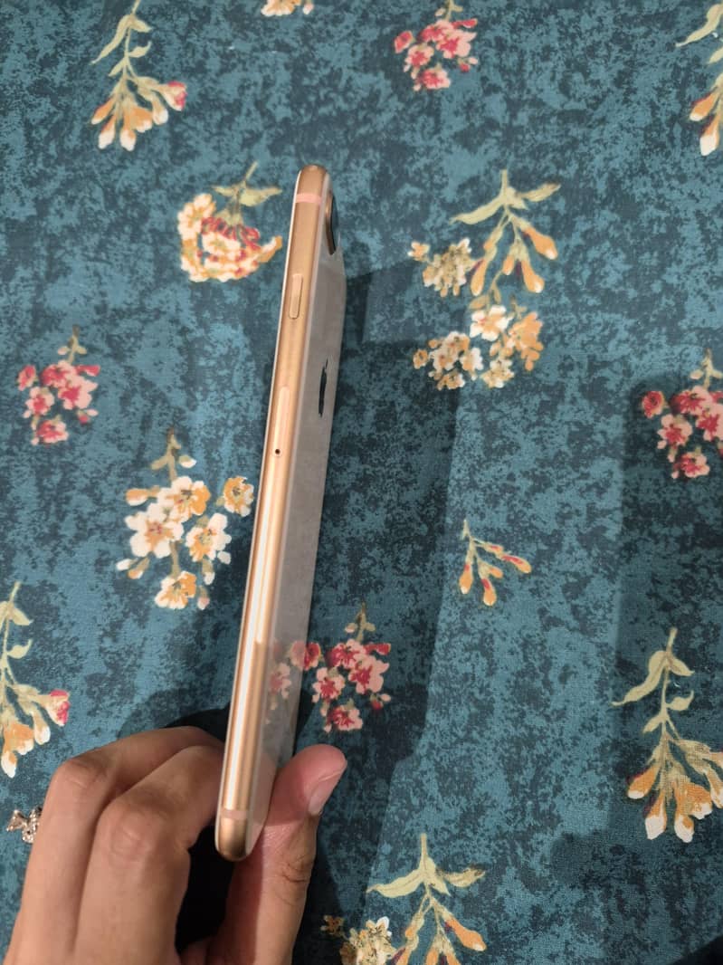 Apple iPhone 8 Plus 2