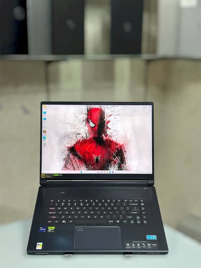 Acer Predator Triton 17 X