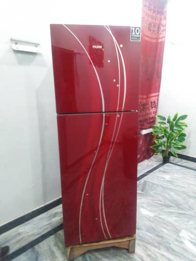 Haier Medium Size Refrigerator – Excellent Condition