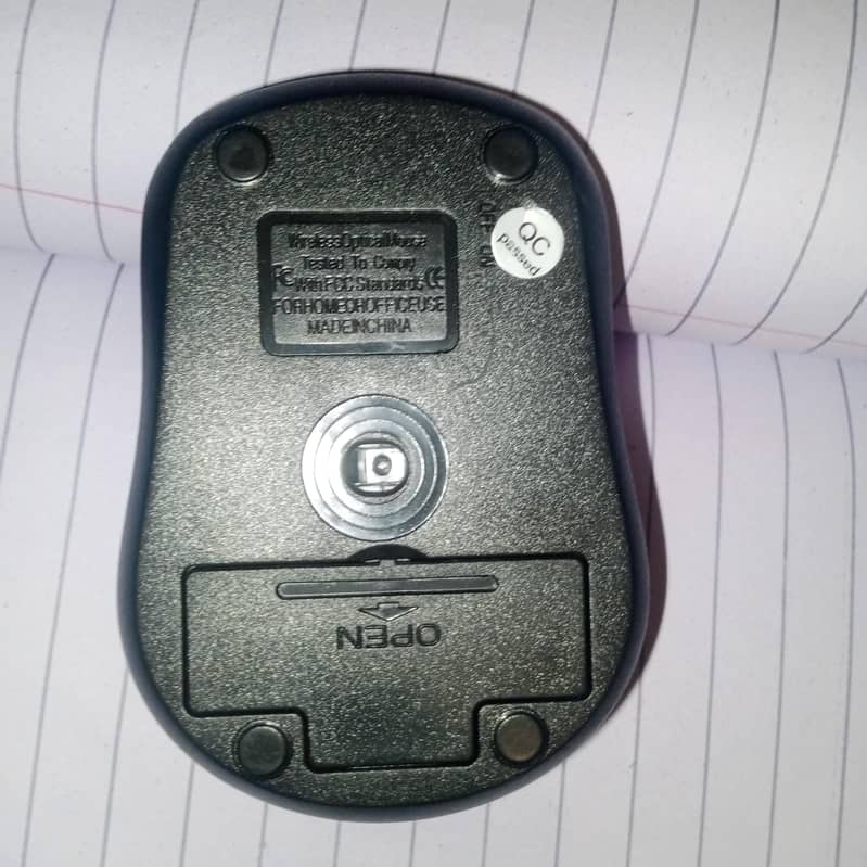 Mouse 2