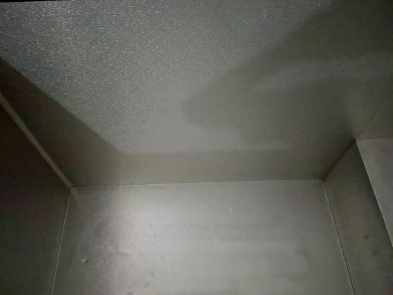 Deep Freezer 10