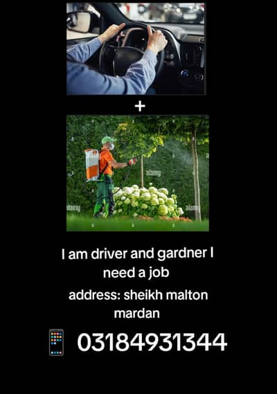 driving